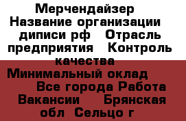 Мерчендайзер › Название организации ­ диписи.рф › Отрасль предприятия ­ Контроль качества › Минимальный оклад ­ 20 000 - Все города Работа » Вакансии   . Брянская обл.,Сельцо г.